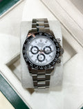 Daytona Panda